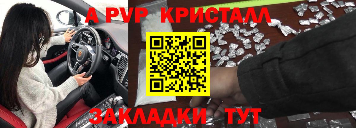 A PVP СК Лениногорск