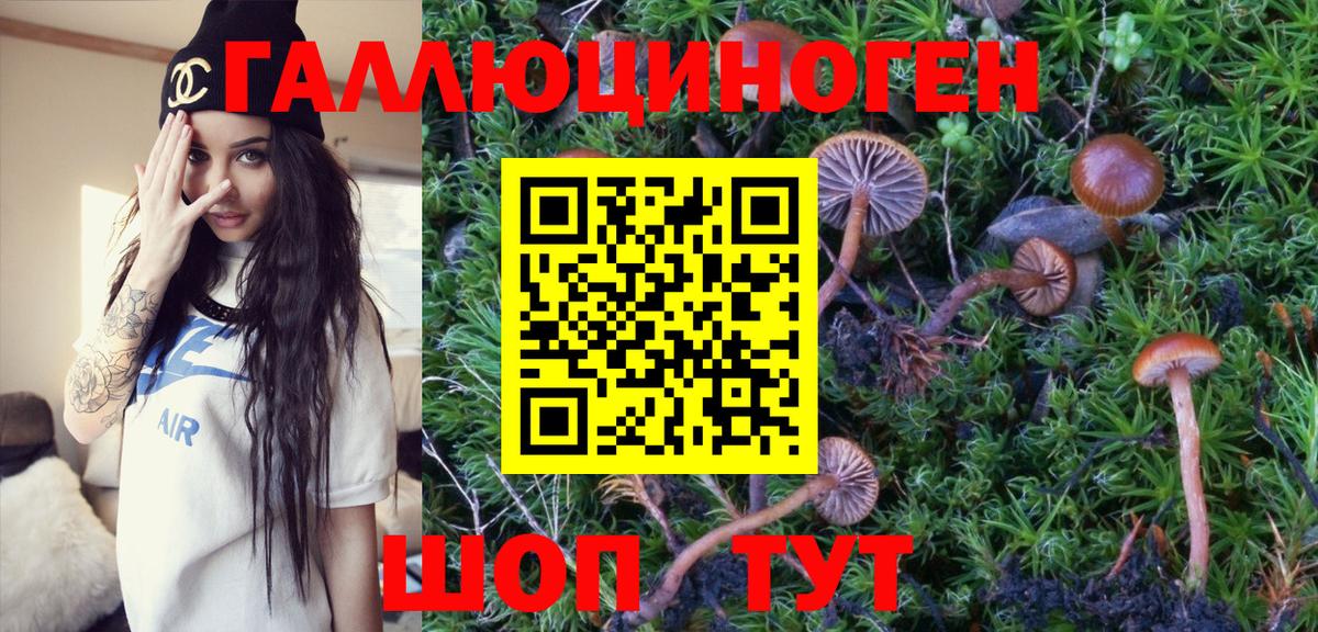 Псилоцибиновые грибы GOLDEN TEACHER Лениногорск